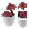 Decorative Flowers Fake Bonsai Plants Bedroom Aesthetic Small Succulent Indoor Indoors Potted Artificial Decor Large Home Ornaments