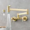 Rubinetto per pentole Rubinetto da cucina pieghevole a parete Rubinetto per lavabo monoforo caldo e freddo Ruota beccuccio pieghevole Ottone dorato spazzolato