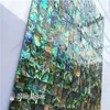 Abalone Paua Sea Shell Mother of Pearl Mosaic Tiles For Interior House Decoration Kök och badrum Väggplattor Sömlöst Shell T228R