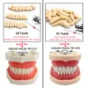 Other Oral Hygiene Resin Dental Model Training Typodont Teeth Model For Dental Technician Practice Teaching Gum Teeth Jaw Model Dentistry Equipment 230720