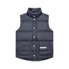 Londres designer gilet trapstar veste hommes gilet freestyle véritable plume vers le bas hiver mode gilet blanc gris marron version correcte gilet veste 24color col montant