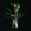 Action Toy Figures SuSenGo LED Light Kit For 10289 Bird of Paradise Model Not Included 230721