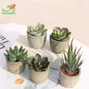 Flores decorativas Mini Bonsai Plant Artificielle Home Garden Office Wedding DIY Decoration Artificial Red Flocking Plantas suculentas