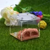 Fournitures pour petits animaux poche Nid de fourmi écologique bricolage plâtre rocaille château pour animaux de compagnie atelier d'aménagement paysager maison pour 230720