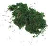 Dekorativa blommor mossa konstgjorda falska faux grön lav inomhus hus krukut simulering naturlig dekor torkad hantverk plast bevarad