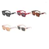 Lunettes de soleil 2023 Mode Version Cadre Carré Hip Hop Hommes Et Femmes Tendance Net Rouge Lunettes Flocon De Neige