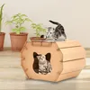 Stone DIY Cat House Doratowane papierowe zarysowania zarząd