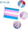 Fast Delivery Rainbow Pride Flag Small Mini Hand Held Banner Stick Gay LGBT Party Decorations Supplies For Parades Festival 0721