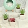 Fleurs décoratives Pots artificiels jardinières Mini carré en pot plantes succulentes plantes d'intérieur pour bureau bureau fleur jardin chambre