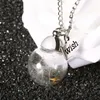 Pendant Necklaces Fashion Lucky Wish Necklace Natural Dandelion Seeds In Glass Bottle Chain Elegant Charms Jewelry Women Gifts