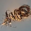 Soft Willow Twig Garland 12Ft Bendable Branch 160 PCs LED Warm White Color Electric Plug In Type With 24V Adaptor 3m Lead Wire1211y