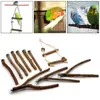 Altre forniture per uccelli 10 pezzi pappagallo asta giocattoli legno forchetta ramo pesce persico gabbia altalena appesa giocattolo da masticare parco giochi C42 230721