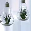 Opslag Flessen Potten 24 X D8 13cm Opknoping Terrarium Bloem Plant Glazen Vaas Gloeilamp Vorm Thuis Bruiloft Decor258W