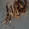 Soft Willow Twig Garland 12Ft Bendable Branch 160 PCs LED Warm White Color Electric Plug In Type With 24V Adaptor 3m Lead Wire1211y