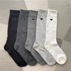 Women sheer Socks Fashion luxury socks womens summer designer black grey white japanese sock woman accessory