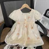 Girl Dresses Summer Girls Sweet Butterfly Embroidery Baby Loose Dress For Kids