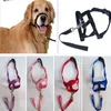 Collari per cani Guinzagli Regolabile Creativo Halter Training Testa Collare Gentle Leader Harness Nylon Breakaway Guinzaglio Lead No Pull Bit2611