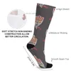 Meias meias U. USA 30 Dragstrip 1954 Hot Socks Meias esportivas Happy Men's Meias Z230721