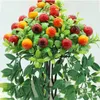 Dekorativa blommor konstgjorda växter Önskfrukt Bonsai Fake Tree Foam Fruits Potted Faux Branch Top Tower for Home El Office Wedding