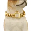 14mm Dog Collar Gold Color Stainless Steel Pet Chain Necklace Pet Supplies Canoidea Rhinestone Lock High Polished10-24Inch292s