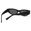 Lunettes de soleil femmes rétro œil de chat petites lunettes femmes/hommes Rivet mode extérieure crème solaire UV400