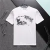 Men's loose T-shirt shirt summer fashion men's wardrobe h81