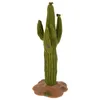 Fleurs décoratives étagère Micro paysage Cactus réaliste orner ornement mariage cérémonie décorations décor parure