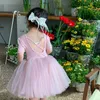 女の子のバレエドレス夏の子供たちの子供の子供たちのドレス衣装服を着ている腫れている服の女の子の服