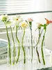 Decorative Objects Figurines Clear Glass Vase Tubes Set Hanging Flower Holder Plant Container Vases for Homes Room Decor 230721