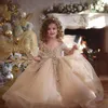 Champagne Ball Gown Girls Pageant Dresses Long Sleeves Pearls Lace Applique Princess Tulle Puffy Kids Flower Girls Birthday Gowns2630