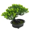 Flores decorativas Material Artificial Bonsai Pinheiro Decoração Emulada Desktop Adorno Imitação Ornamento Simulação