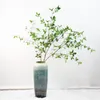 Decorative Flowers Imitation Fake Branches Banyan Trees Green Leaves Household Flower Art Arrangement And Decoration