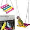 Autres fournitures pour oiseaux 12 pièces jouets ensemble perroquet à mâcher balançoire pont suspendu jouet Station bâton combinaison Cage accessoires 230721