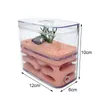 Small Animal Supplies Gips Ant Nest Insect Box Farm Pet Anthill Castle Natural Ecological House Myres Workshop 12610cm 230720