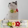 Dog Collars Pet Necklace Portable Cat Collar Lightweight Decorative Durable Princess Style Kitten