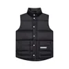 Men designer Vest clothes mens Vest jackets luxury Womens zipper Womens Jacket Sleeveless Outdoor Warm Thick Outwear 19 color stand collar Clothing Gilet