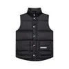 Gilet da uomo Gilet da uomo di lusso Gilet con cappuccio di marca Gilet da donna Gilet invernale Gilet imbottito da esterno Caldo senza maniche Piuma Outwear 19 Gilet da uomo catena da insalata