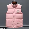 Colete masculino designer de roupas colete masculino jaquetas de luxo com zíper feminino jaqueta feminina sem mangas ao ar livre quente grosso outwear 19 cores gola alta roupas Gilet