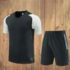 Soccer Tracksuits Polo Vest Training Set Di Maria 23 24 Juventus Vlahovic Pogba 10 Bremer 3 Chiesa McKennie Locatelli Shirts 2023 2024 Kostic Shorts Pants Adult