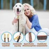 Dog Collars Leashes Multifunctional Leash Strong and Soft Real Leather Adjustable Hands Free Crossbody Double for All Dogs 230720