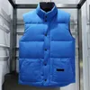 Designer gilet mens gilet doudoune à capuche hiver puffer gilet manteaux badge brodé mode haute rue sans manches noir et blanc gris kaki gilet manteau