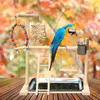 Autres fournitures pour animaux de compagnie Bois massif Perroquet Playstand Bird Aire de jeux Playpen Gym Échelle Stand Bite Toy pour Budgie 230721