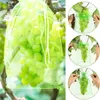 Planters Pots 20 50 100pcs Grape Protection Bag Grow Mesh Fruit Pest Control Products Breathable Gauze Strawberry Seedling Bags Organza 230721