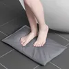 Carpet Diatomaceous Earth Waterabsorbing Quickdrying Floor Mat Toilet Bathroom Nonslip Diatom Mud Soft Bath Home Textile 230720