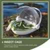 Benodigdheden voor kleine dieren Zijderups Doos Bug Raising Case Cage Natuurspeelgoed Outdoor Toy Viewer Transparant Kids Insect Critter Catcher Observatie Huisdier Houder 230720