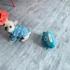 Modemärke söt katthund pajamas mysig varm hemhund pyjamas neddy fransk bulldog hårlös katt