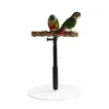 Autres fournitures pour animaux de compagnie T Stand perroquet formation jouant avec base Cage oiseau perchoir debout pour Finch 230721