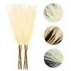 Decorative Flowers Flower Arrangement Faux Pampas Grass Reed For Bouquet Decor Home Decors Reeds Arrangements DIY