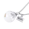 Pendant Necklaces Fashion Lucky Wish Necklace Natural Dandelion Seeds In Glass Bottle Chain Elegant Charms Jewelry Women Gifts