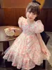 2023Toddler Baby Girls Girls Summer Summer Server Ploral Princess Birthday Dresses for Girl Baby Clothing Assume Dr